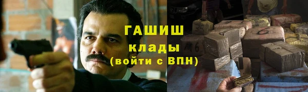 гидра Алексин