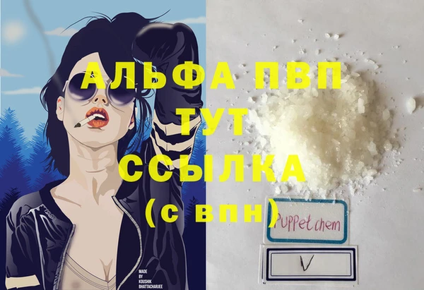 гидра Алексин
