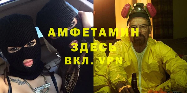 гидра Алексин