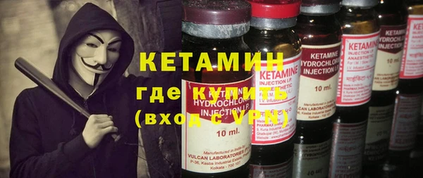 прущие грибы Абаза